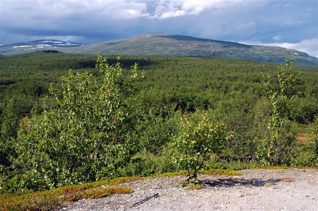 Kungsleden Abisko-Kebne (2).jpg